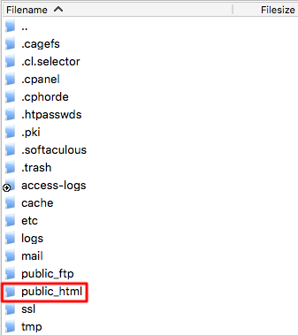 WordPress public_html Folder