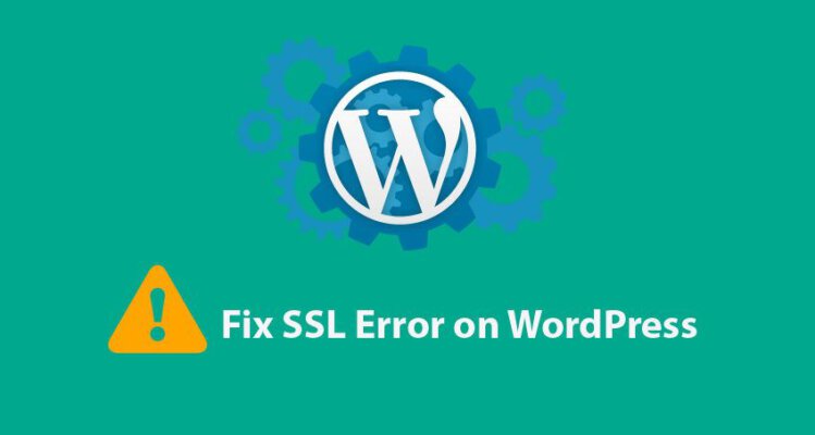 Review Plugin Real Simple SSL Wordpress 1