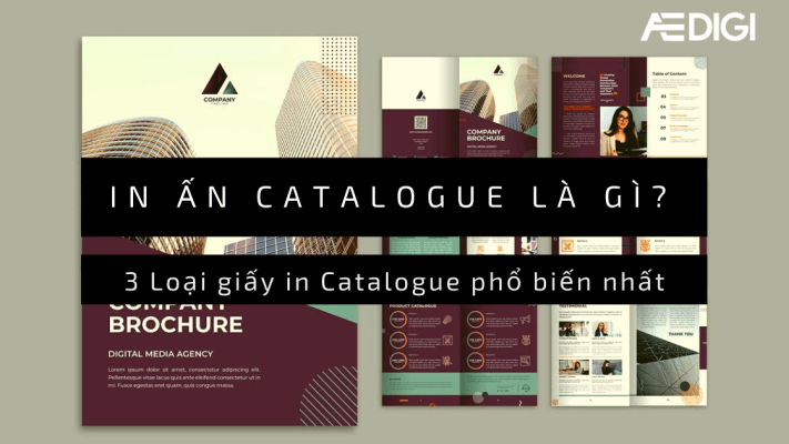 In ấn Catalogue là gì? 3 Loại giấy in Catalogue phổ biến nhất