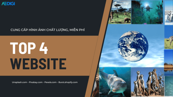 TOP 4 Website cung cấp hình ảnh chất lượng cao và miễn phí